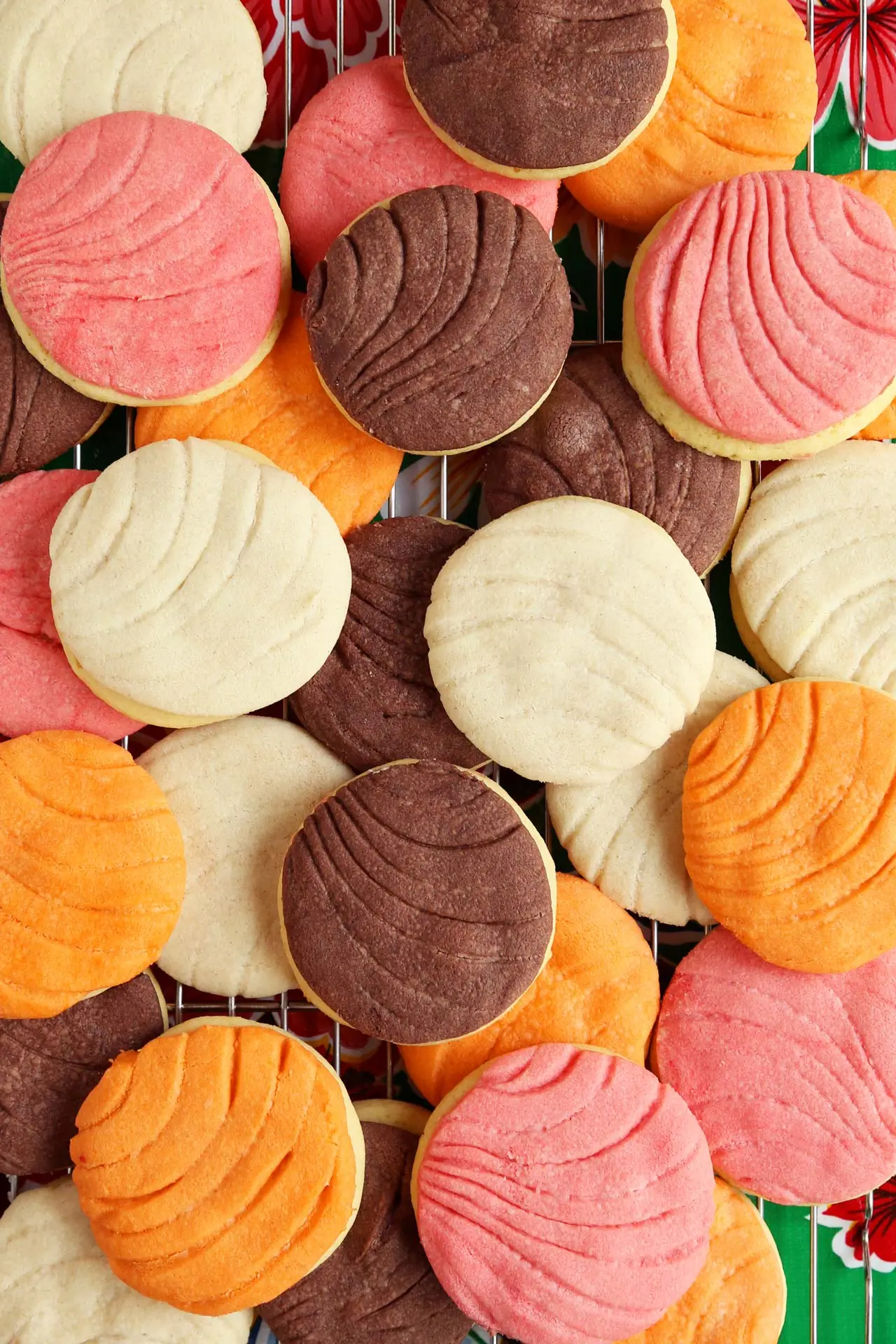 Pan Dulce Sampler (8ct)